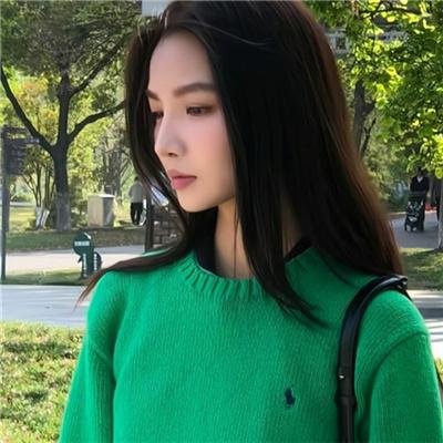 陆昭昭的刺客笔记